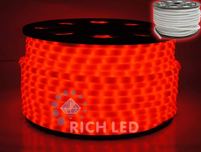   Rich LED 2- ,  , 13 ,  ( 100 )