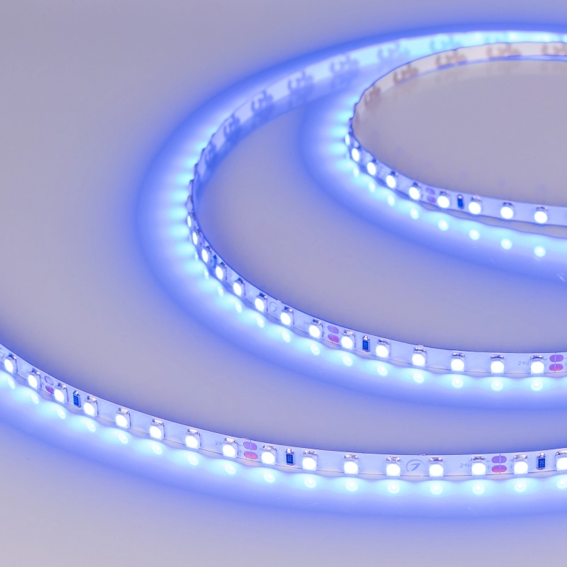  RT 2-5000 24V Blue 5mm 2x (3528, 600 LED, LUX)