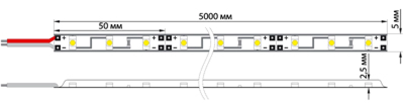 LED  220, 10*7 , IP65, SMD 3528, 60 LED/m ,  100 