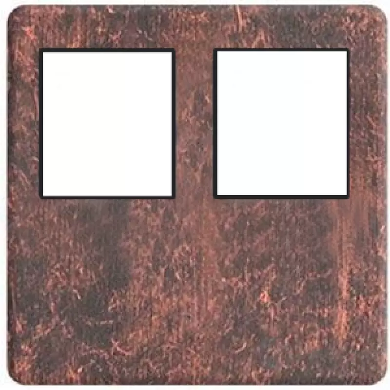    2- .  RJ-45 (rustic copper, )