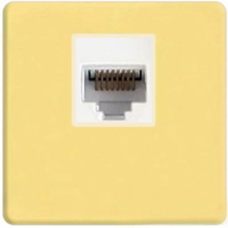   Fede RJ-45 (Bright Gold, )