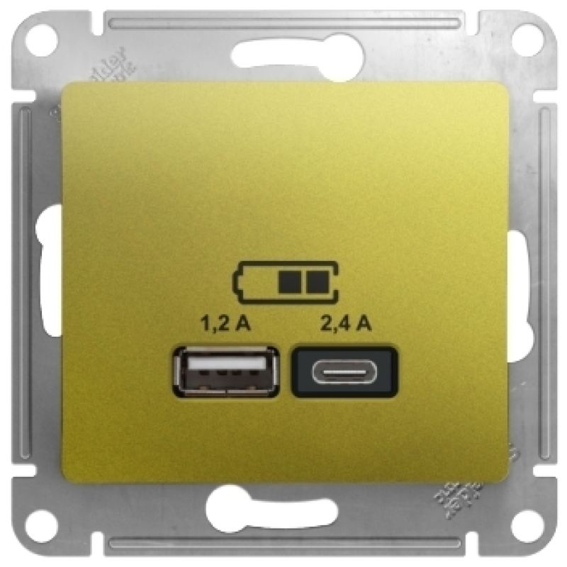   USB Schneider, USB-A + USB-C, 2.4A ()