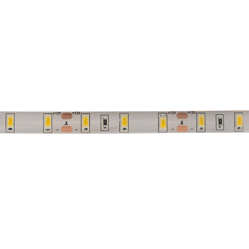 LED  12 , 12 , IP65, SMD 5730, 60 LED/m, 12 V,  (6000 K)