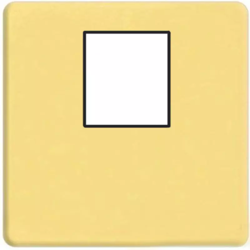    1- .  RJ-45 (bright gold, )