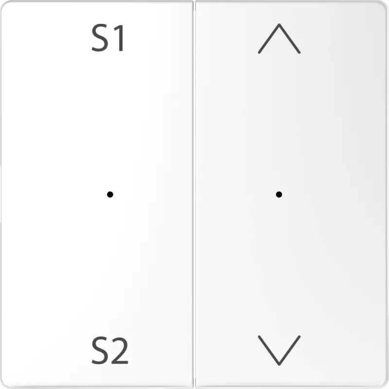    Merten D-Life PlusLink Wiser BLE ( )    1/2   /