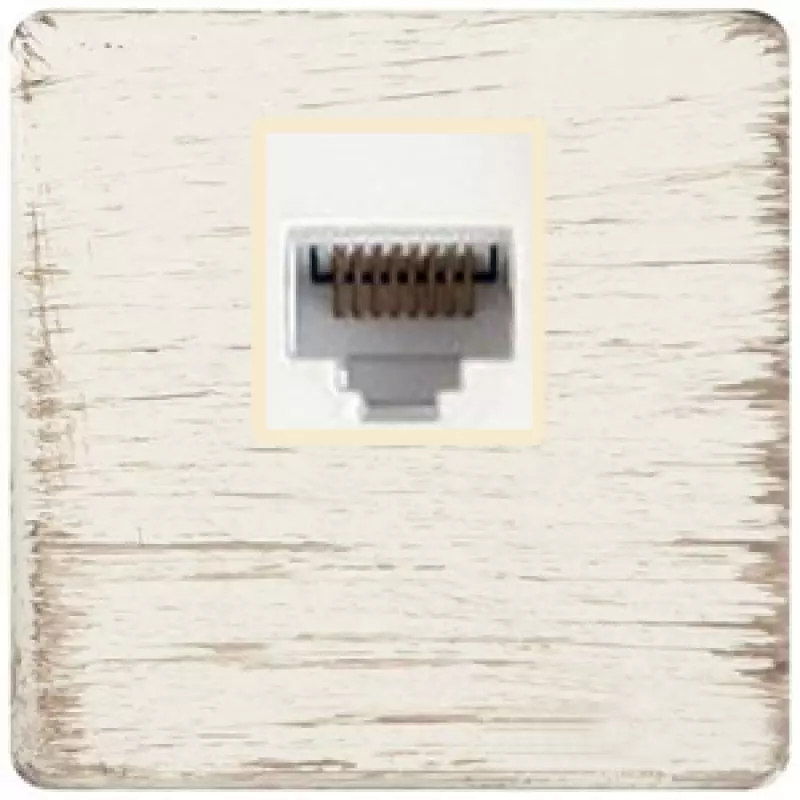   Fede RJ-45 (White Decape, )