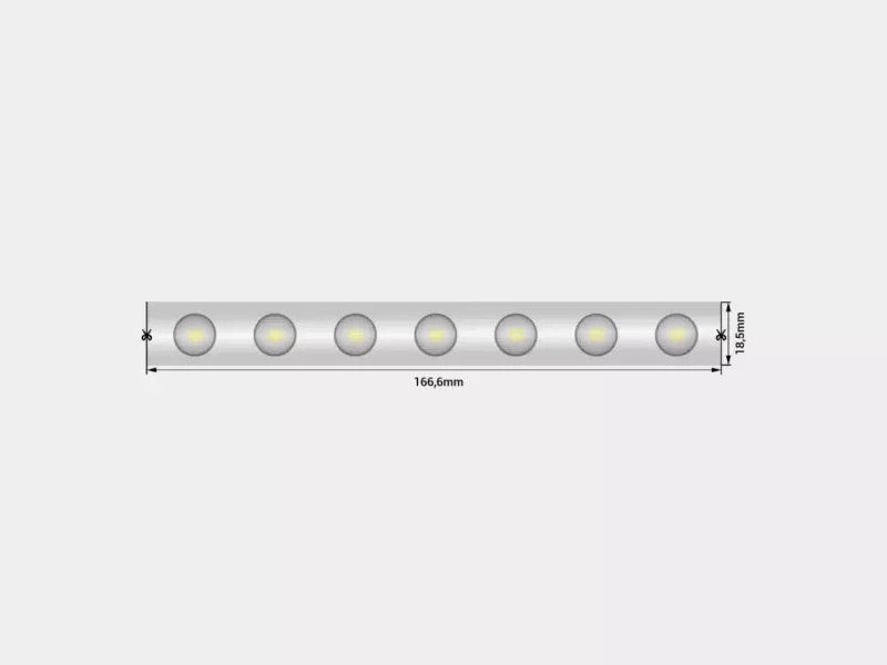   wall washer  5050, 42 LED/, 6,2 /, 24 , IP67