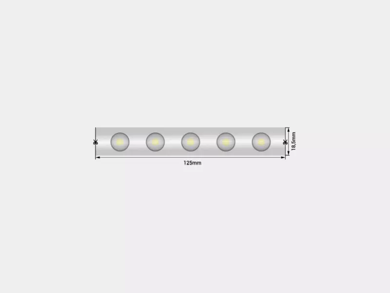   Wallwasher  2835, 48 LED/, 18 /, 24 , IP67, :  