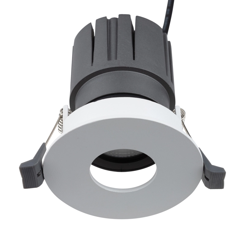    REXANT Horeca Dark Light    12  4000  Ring LED WHITE