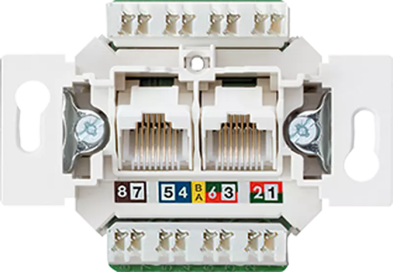   RJ45   6a Jung UTP