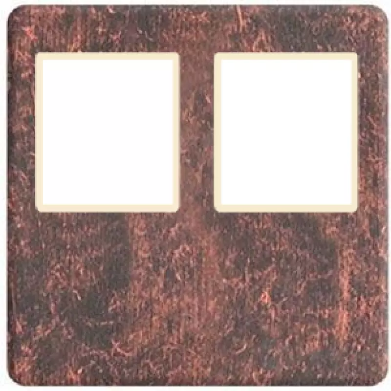    2- .  RJ-45 (rustic copper, )