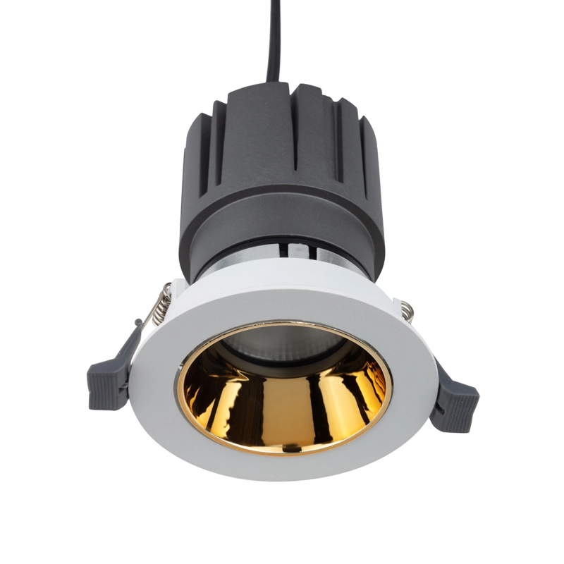    REXANT Horeca Dark Light    12  4000  LED GOLD