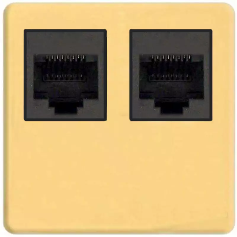    Fede RJ-45 (Real Gold, )