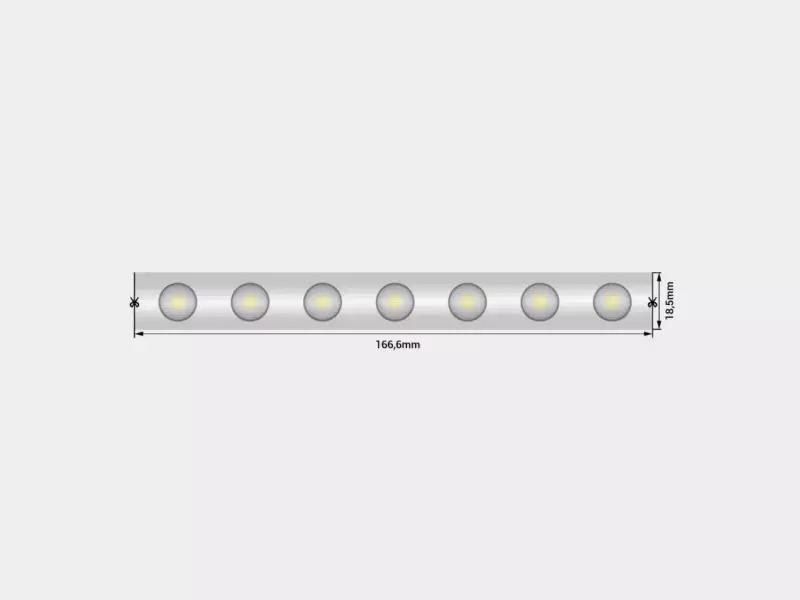   wall washer  5050, 42 LED/, 6,2 /, 24 , IP67, : 