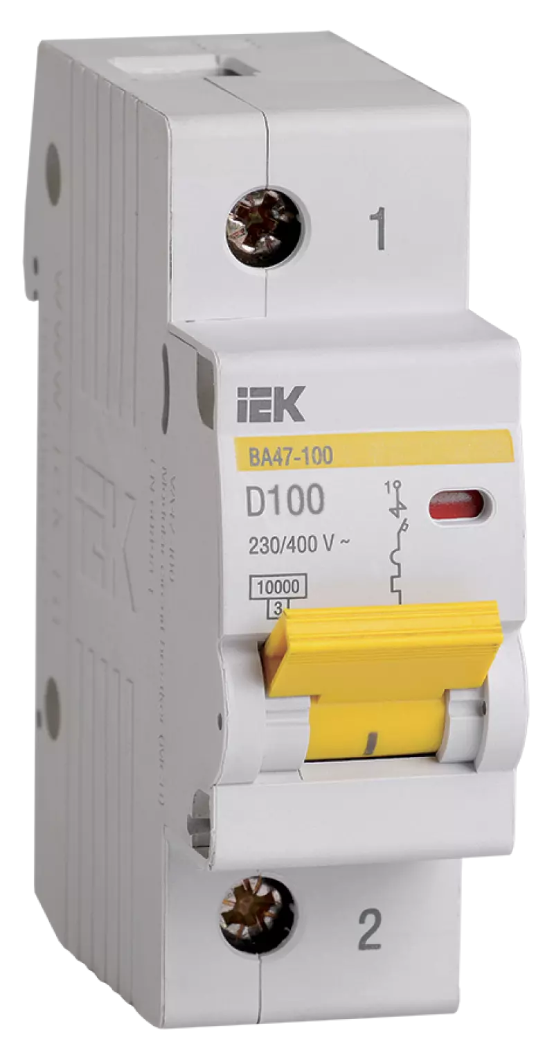   IEK 47-100 - 1P - 100A - D - 10kA - 1,5M