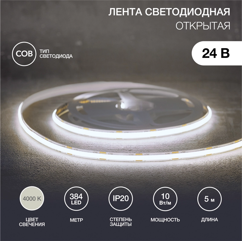   24, COB 10/, 384 LED/, 4000K, 8, 5, IP20 REXANT