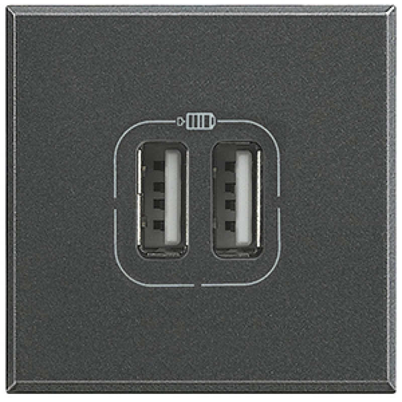   USB Bticino  2 , USB-A x 2, 3A ()