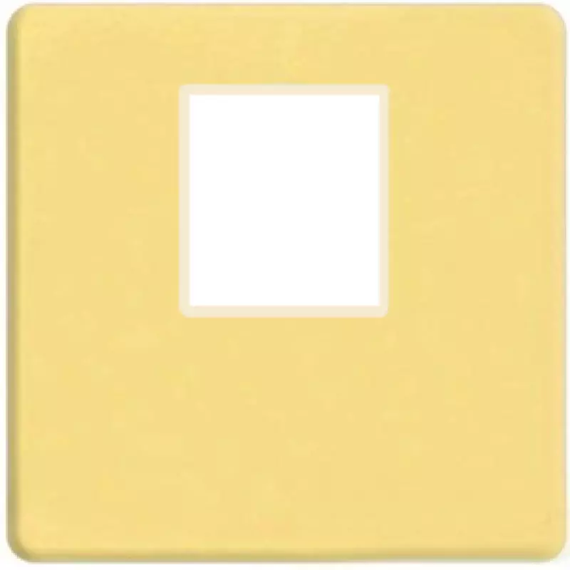    1- .  RJ-45 (bright gold, )