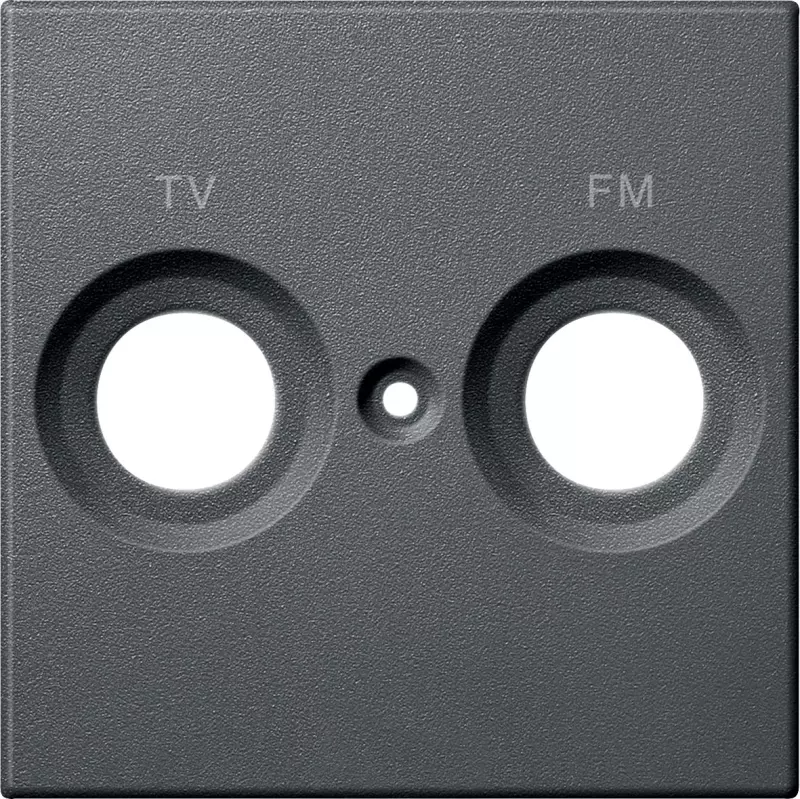    TV+FM System M ()