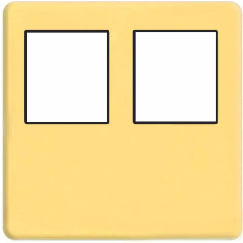    2- .  RJ-45 (bright gold, )