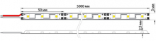 LED  220, 10*7 , IP65, SMD 3528, 60 LED/m ,  100 