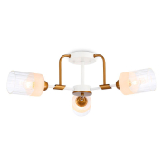   Ambrella light Traditional Modern TR303321