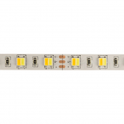 LED  White Mix, 12 , 12 , IP23, SMD 5050, 60 LED/m,  (6000) +  (3000)