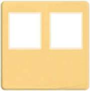    2- .  RJ-45 (real gold, )