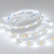  RT 6-5000 24V White-MIX 2x (5060, 60 LED/m, LUX)