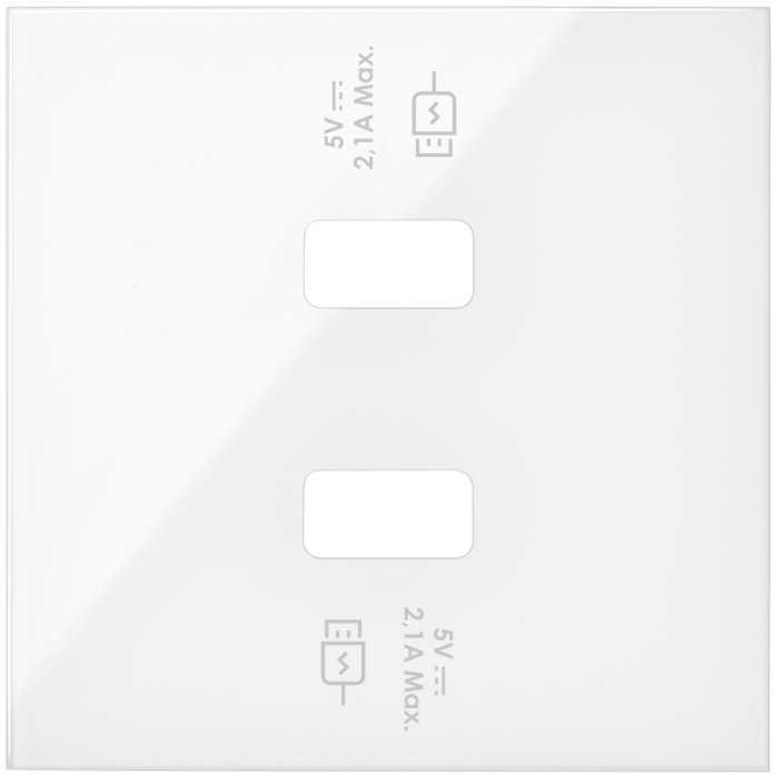   USB SmartCharge 230~ c 1  2.1A 5 S100 ( )
