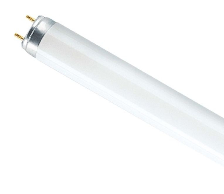 Osram   L 18W/765 T8 G13