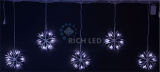   Rich LED  30.7 ,  , ,  