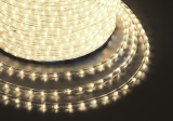  LED,   (2W) -    24 LED/ ,  100