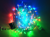   Rich LED  10 , 24, , ,  , 