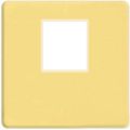    1- .  RJ-45 (bright gold, )